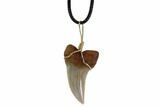 Fossil Mako Tooth Necklace - Bakersfield, California #95269-1
